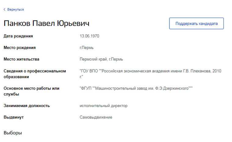 Кандидат в пермские губернаторы предложил вести кампанию людям. «Сами соберут за меня подписи»