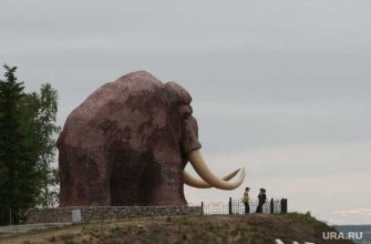 ЯНАО обнаружили скелет мамонта озеро Печевалавато