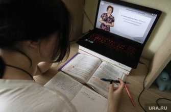 Выборы единый день голосования фейки коронавирус дистант чипирование мизулина малькевич