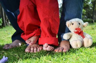 трансгендеры Россия Совет Федерации запрет брак