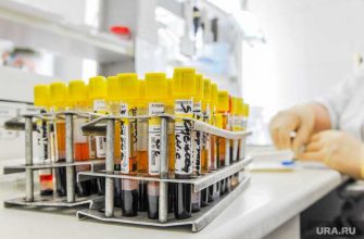 Свердловская облатсь коронавирус статистика заражений