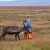 Ямальских оленеводов эвакуируют из тундры из-за коронавируса