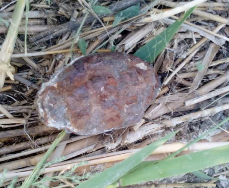 На берегу курганского озера найдена граната. ФОТО