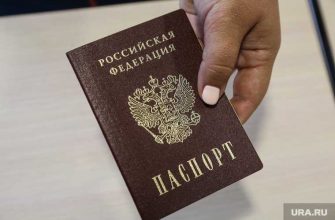 паспорт Россия Беларусь