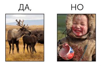 депутат Василий Степанов ЯНАО