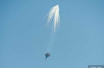 Пентагон о российских истребителях