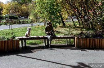 прогноз погоды на декабрь