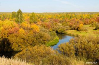 Погода лето хмао ханты-мансийск сургут нефтеюганск бабье лето