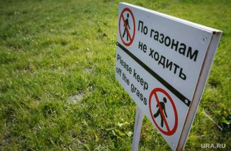 Мэрия Екатеринбурга подрядчик газон