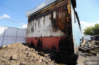 попал на видео