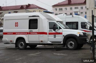 самоизоляция в Курганской области