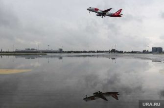 Михаил Мальцев