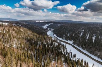 уволить директора школы