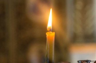 Паша видик умер