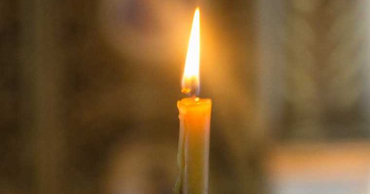 Паша видик умер