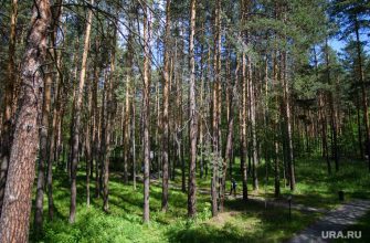 продается госимущество
