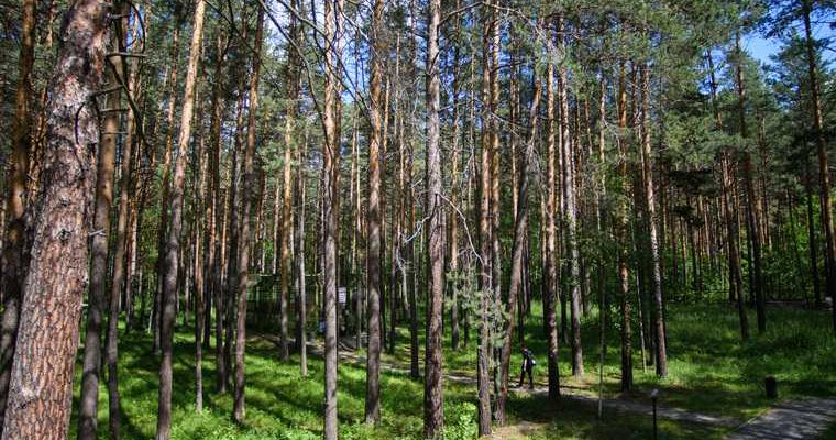 продается госимущество