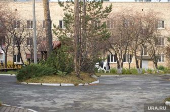 стирилизация пансионат