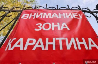 коронавирус 16 ноября