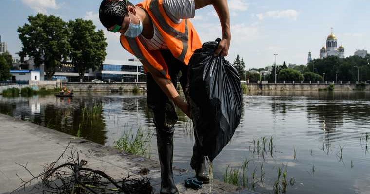 депутатам предложили работать вместо мигрантов