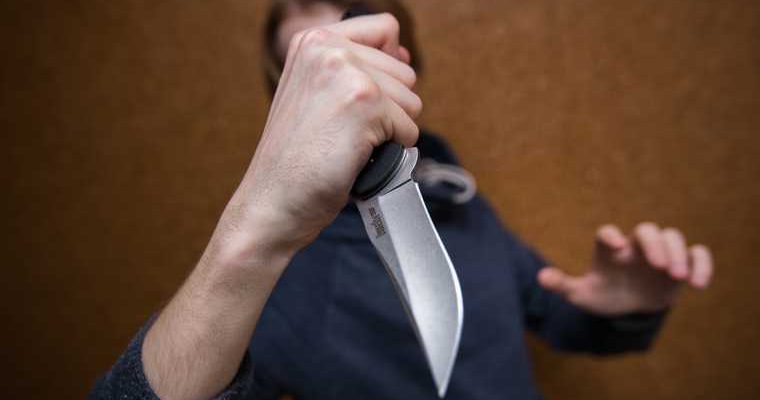 неадекватный школьник перевод домашнее обучение Ноябрьск ЯНАО