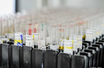 Челябинская область коронавирус тесты анализы