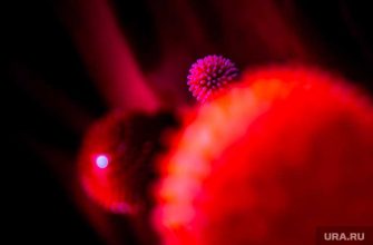 заведующий лабораторией пролиферации клеток Института молекулярной биологии Петр Чумаков