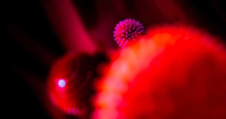 заведующий лабораторией пролиферации клеток Института молекулярной биологии Петр Чумаков