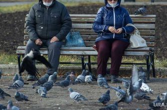 пансионат подсолнухи приставы челябинск