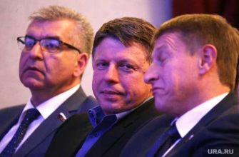 куратор выборов