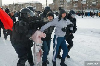 Челябинская область акции Навального 23 января итоги