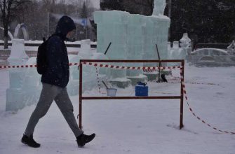 запрет парковки Курган