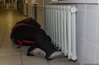 Челябинская область ЖКХ отопление обрыв проводов аномальные морозы зима погода ветер Карталы котельная