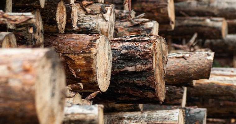 деревообработка УГМК «Титановая долина» Свердловская область