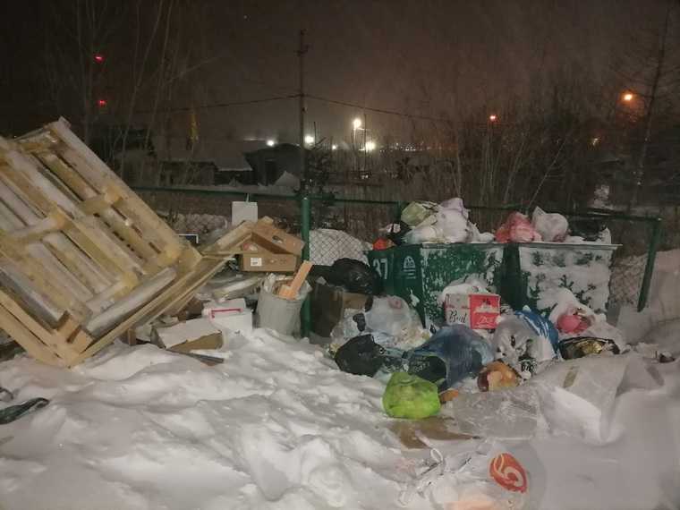 Из-за сильных морозов столица ЯНАО тонет в мусоре. Фото