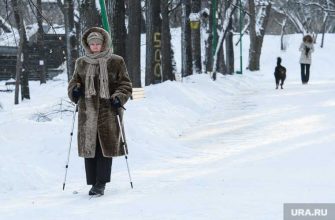 кровь в организме