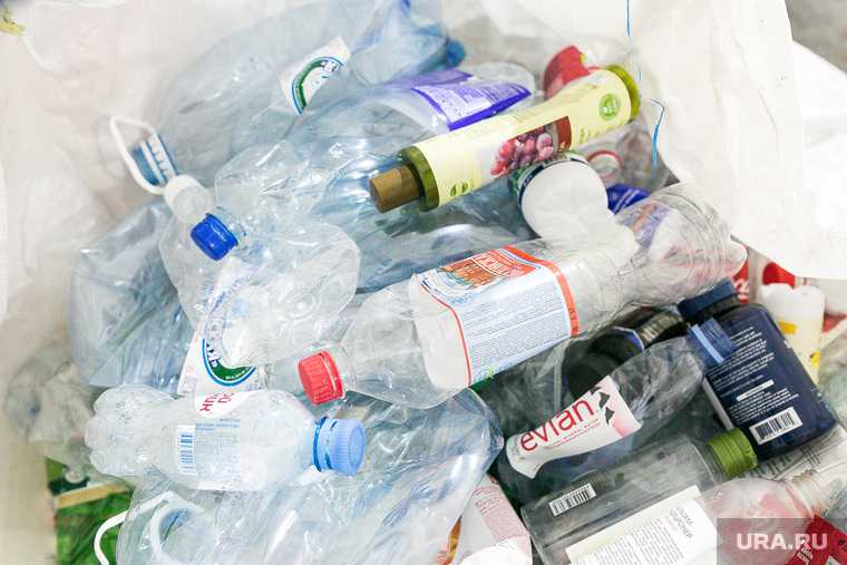 пластик пакет посуда запрет одноразовый экология мусор