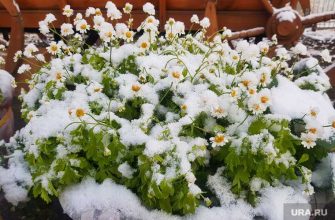 погода весна