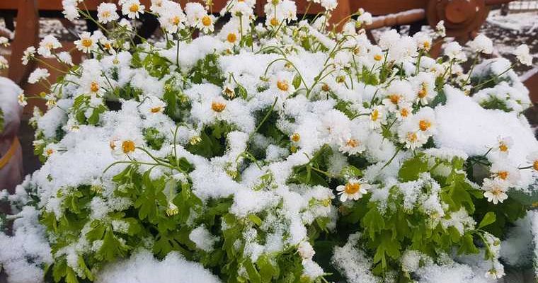 погода весна