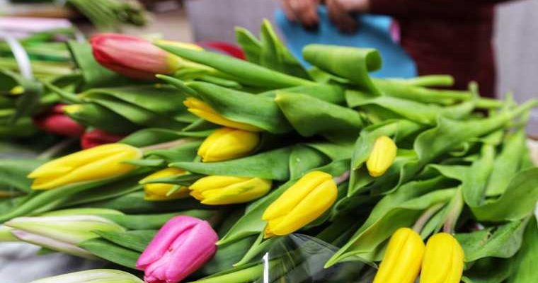 цветы в Кургане