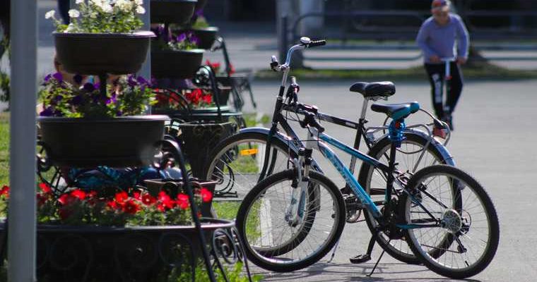 чиновники Курган