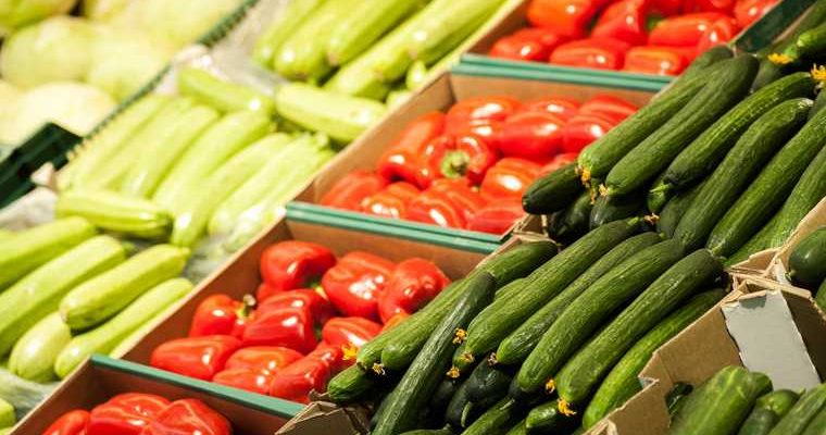 ютуб канал ковалькова смотреть