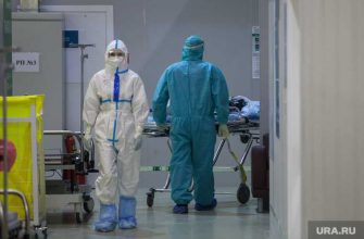 штамм ПЦР тест