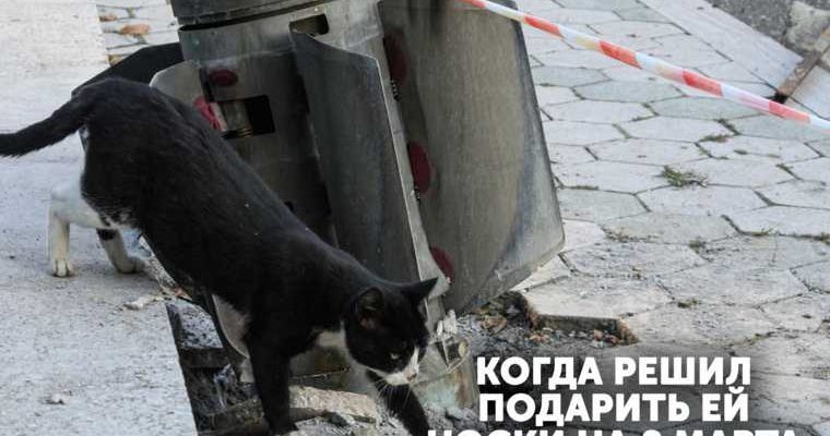 слухи Курганская область