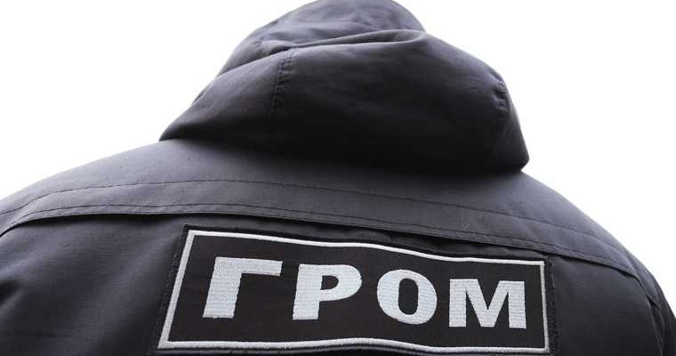 полиция и Гром