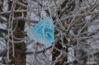 сотрудники полиции