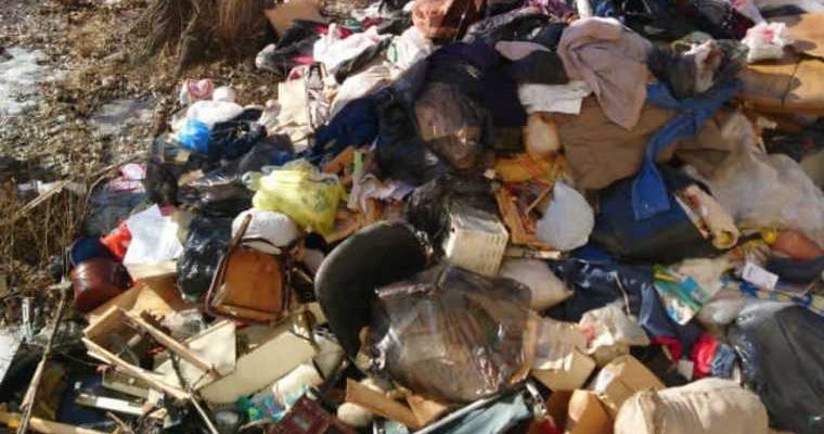 Челябинск недвижимость Сударенко выселение пенсионер хлам мусорка