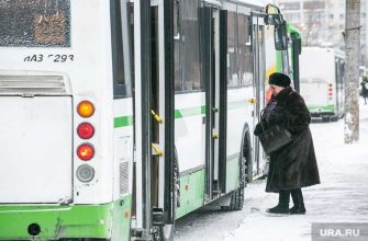 минтранс законопроект судимые запрет автобус трамвай троллейбус такси