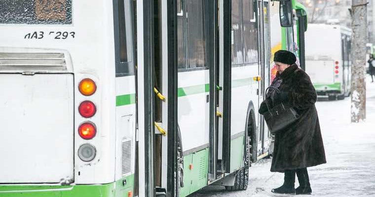 минтранс законопроект судимые запрет автобус трамвай троллейбус такси