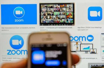 Песков прокомментировал ситуацию с Zoom